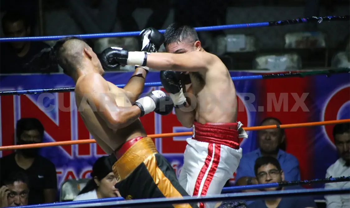 Un espectáculo sin subirse al ring