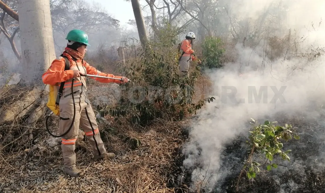 Aumentan recursos para el combate de incendios: PC