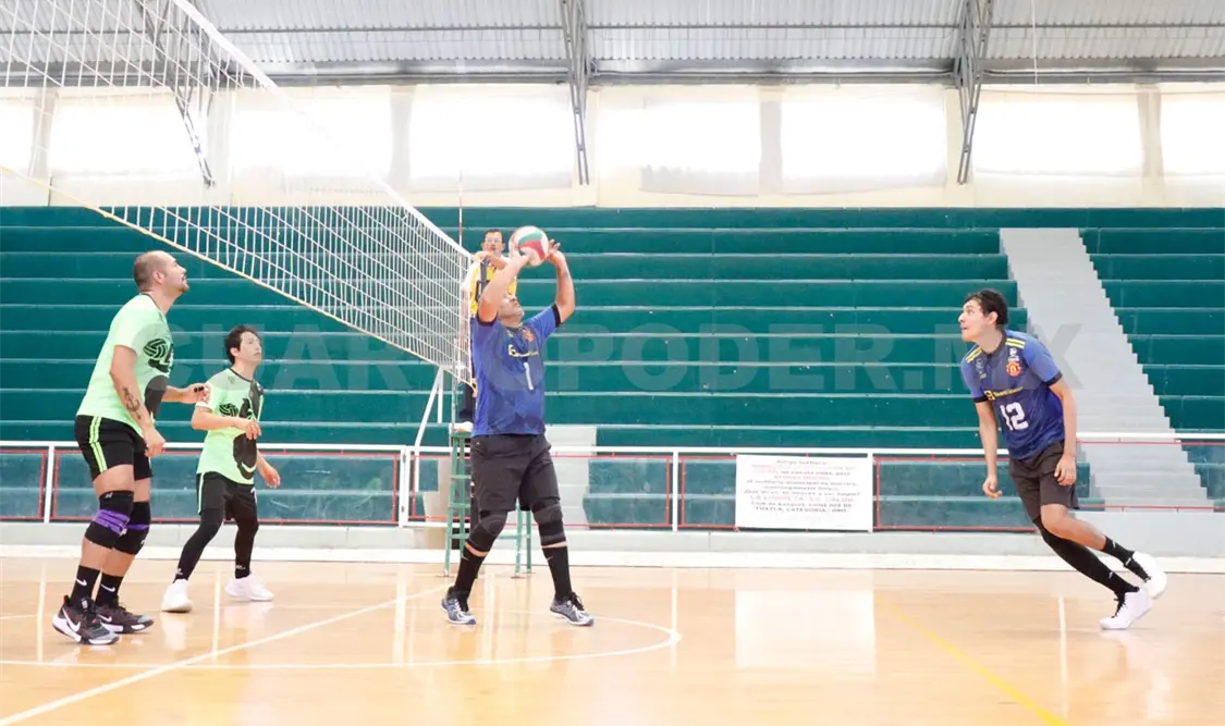 Ardillas se trepa a la gran final