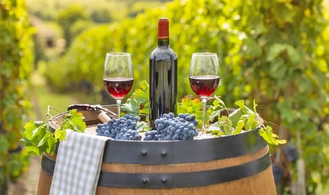 Ruta del vino en Guanajuato
