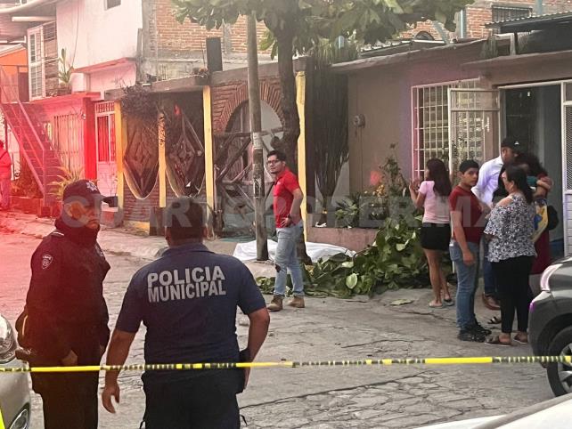 Podaba un árbol y pierde la vida al caer de cabeza Podaba un árbol y pierde la vida al caer de cabeza