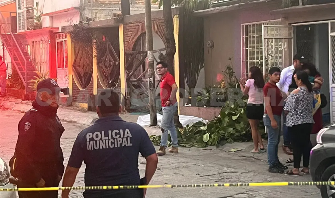 Podaba un árbol y pierde la vida al caer de cabeza