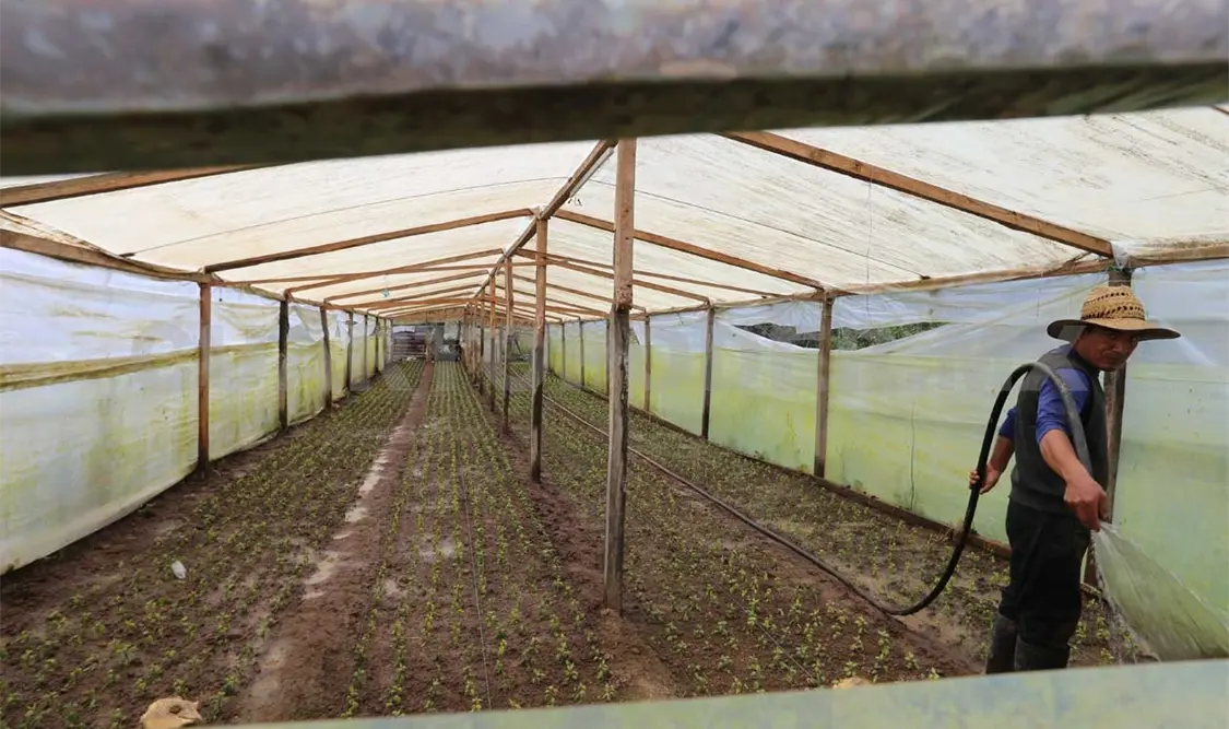 Todas las unidades campesinas con cobertura móvil