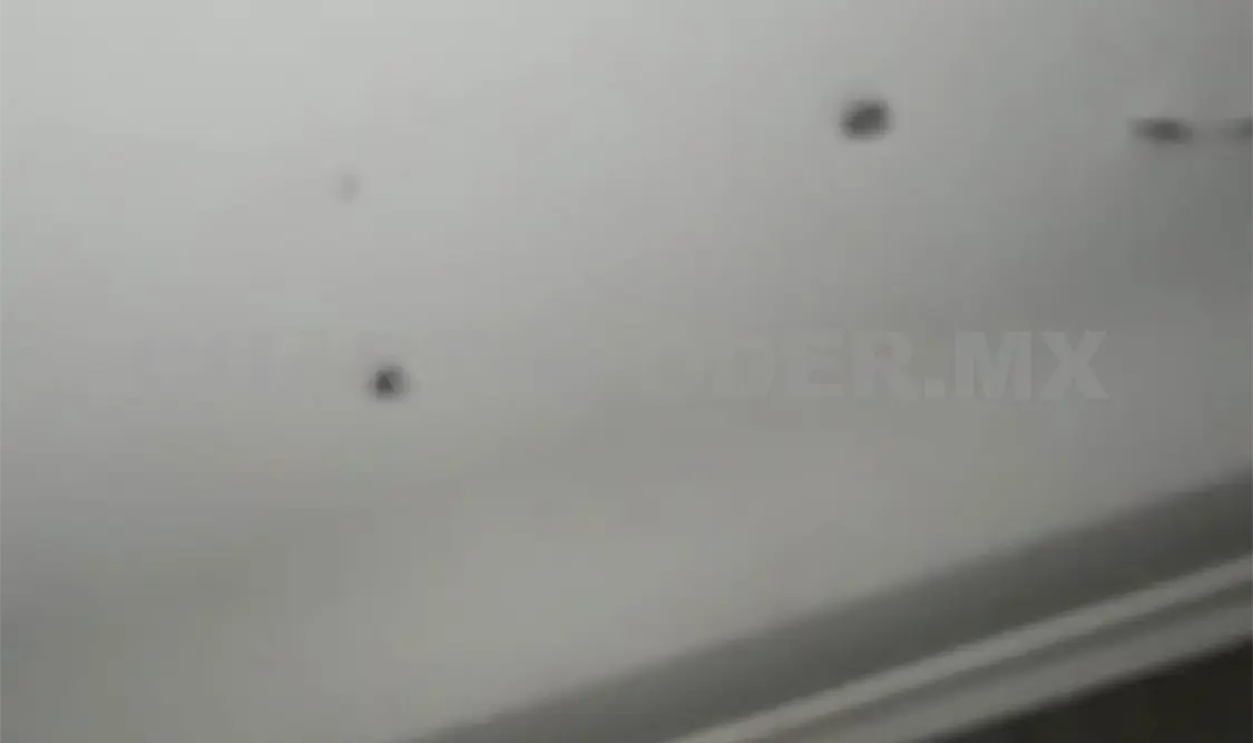 Reportan disparos de arma de fuego