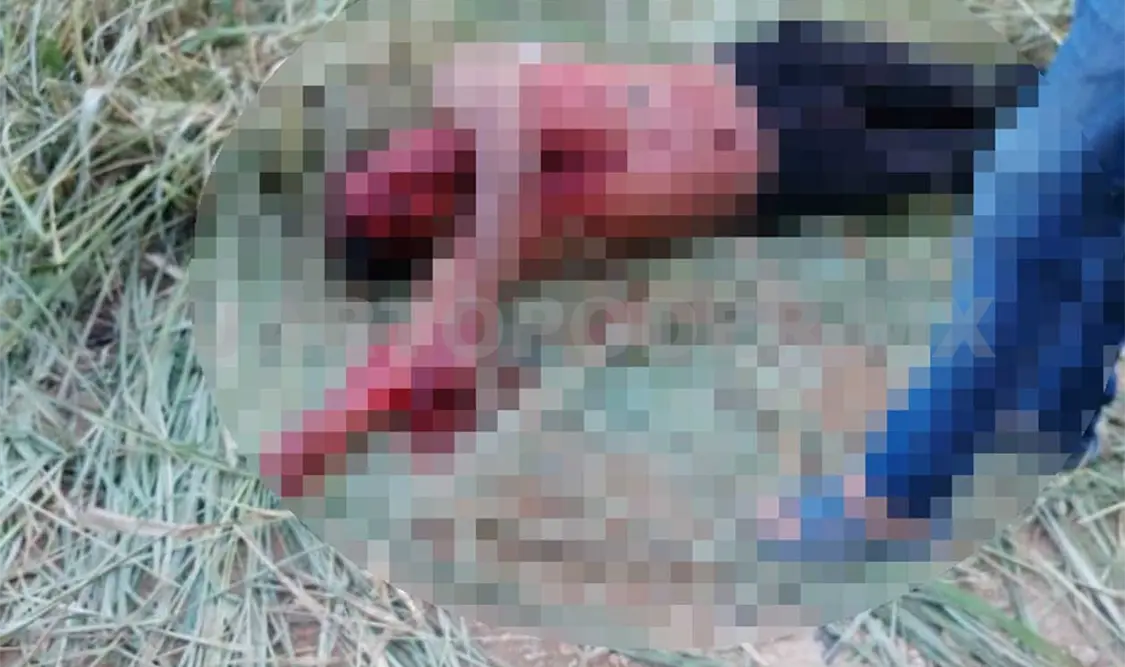 Acuchillan salvajemente a un hombre en la Sierra