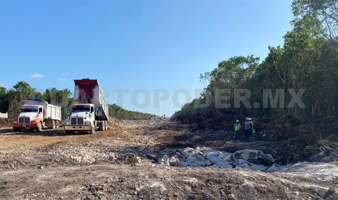 Ven necesario el ordenamiento del transporte de carga