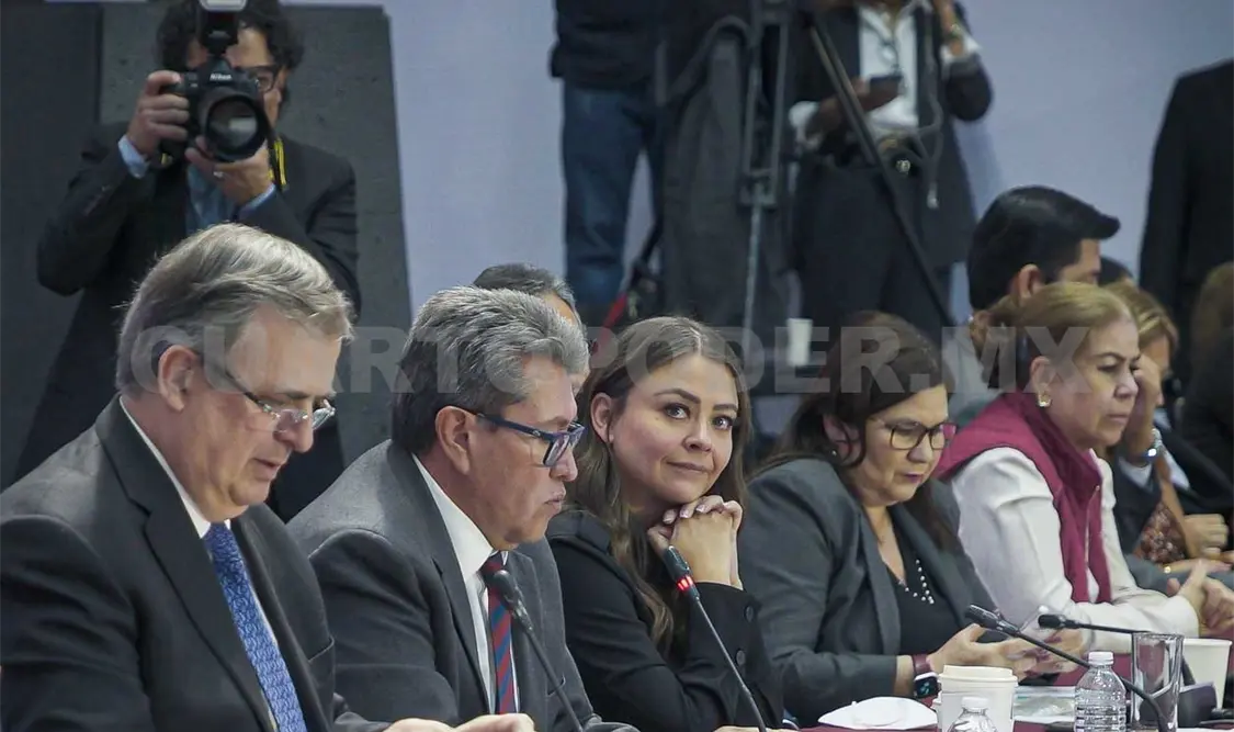 Sasil participa en plenaria de Morena en el Senado
