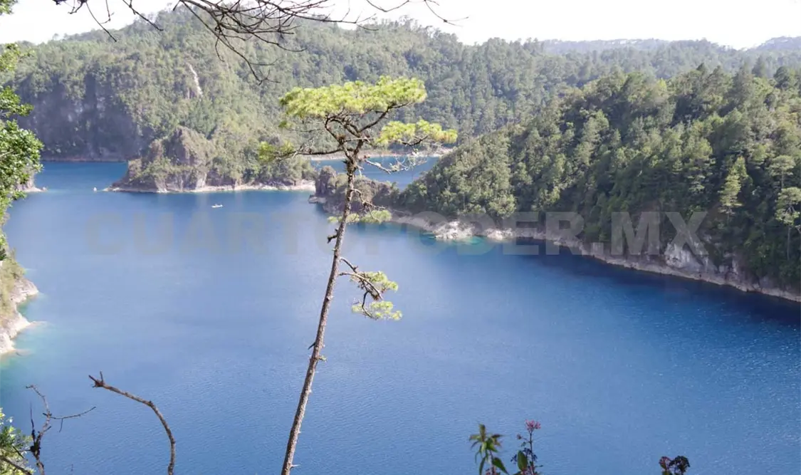 Humedales, patrimonio natural de Chiapas