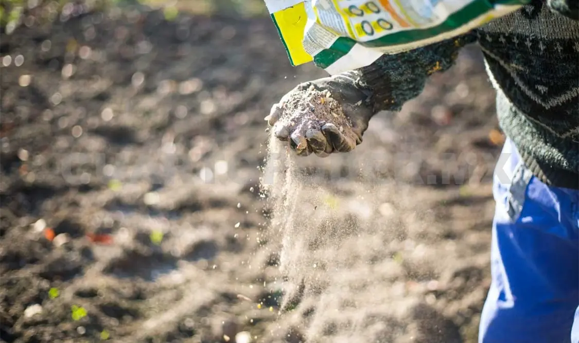 Más de 250 mil productores recibirán fertilizantes