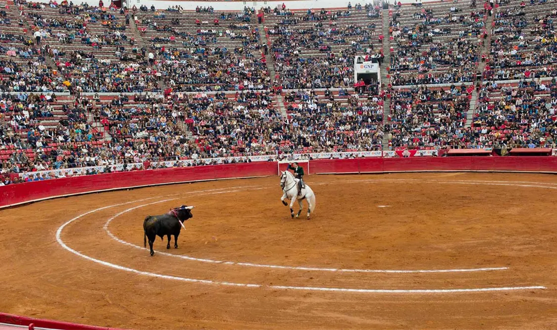 En análisis la iniciativa para prohibir corridas