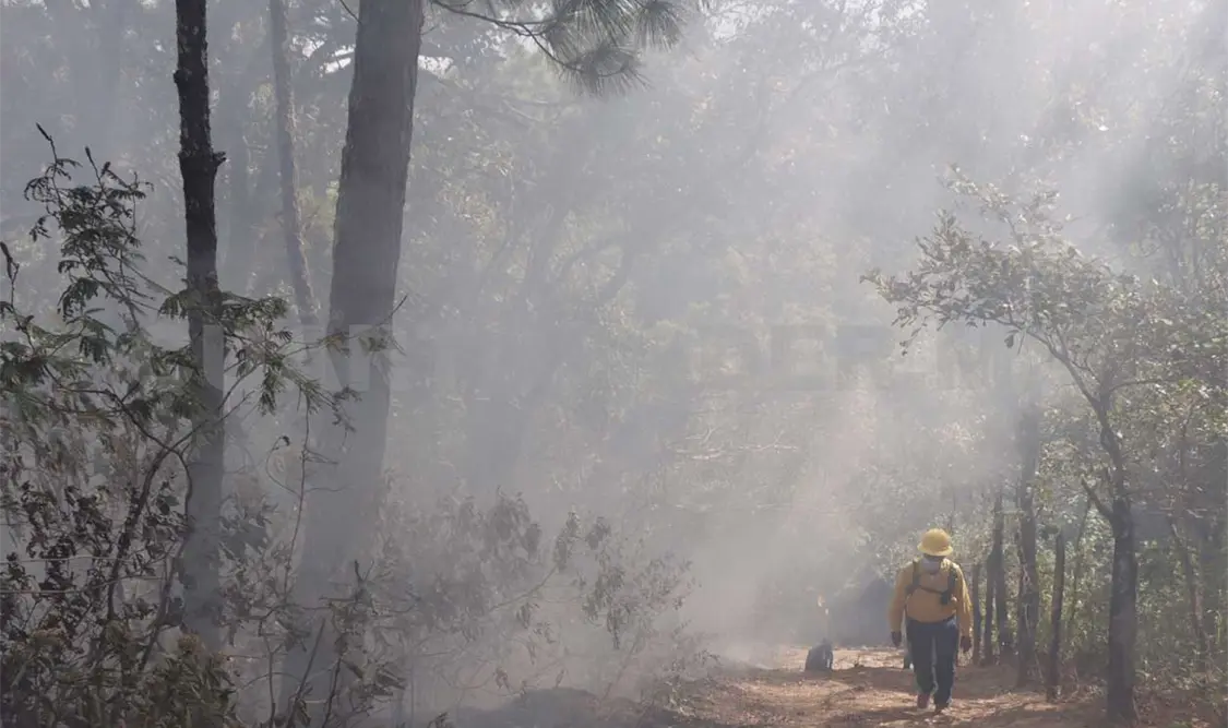 Largas caminatas para atender incendios