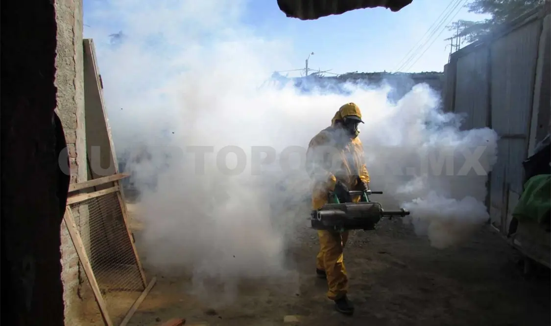 Reportan los primeros 24 casos positivos de dengue