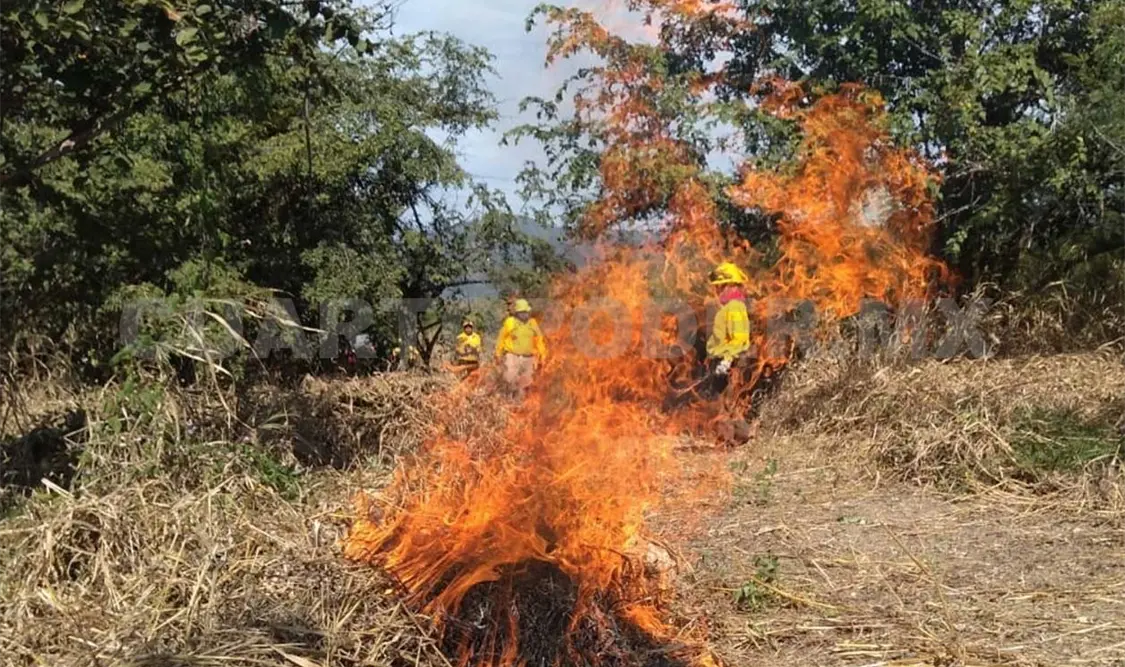 Solo se ha quemado arbustivo y hojarasca