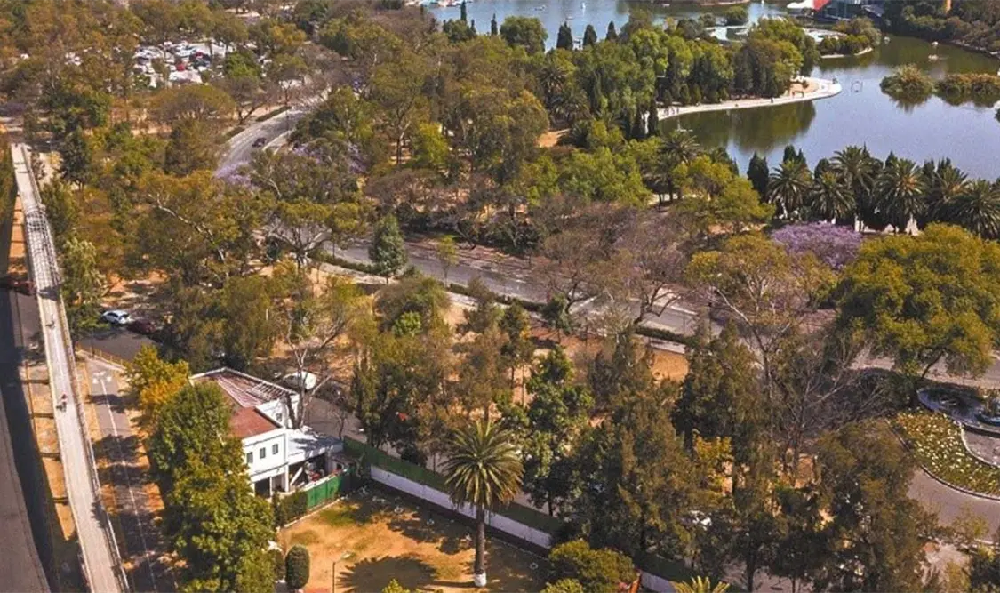 Vista panorámica del bosque de Chapultepec. Cortesía