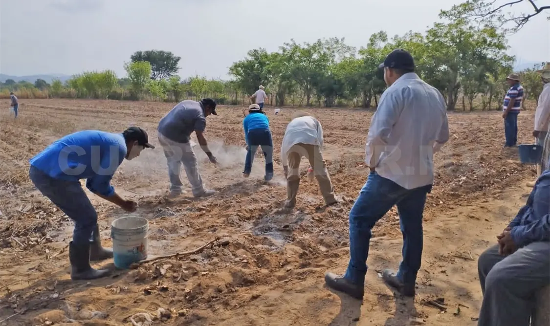 Sin agricultura el tejido social se puede fracturar