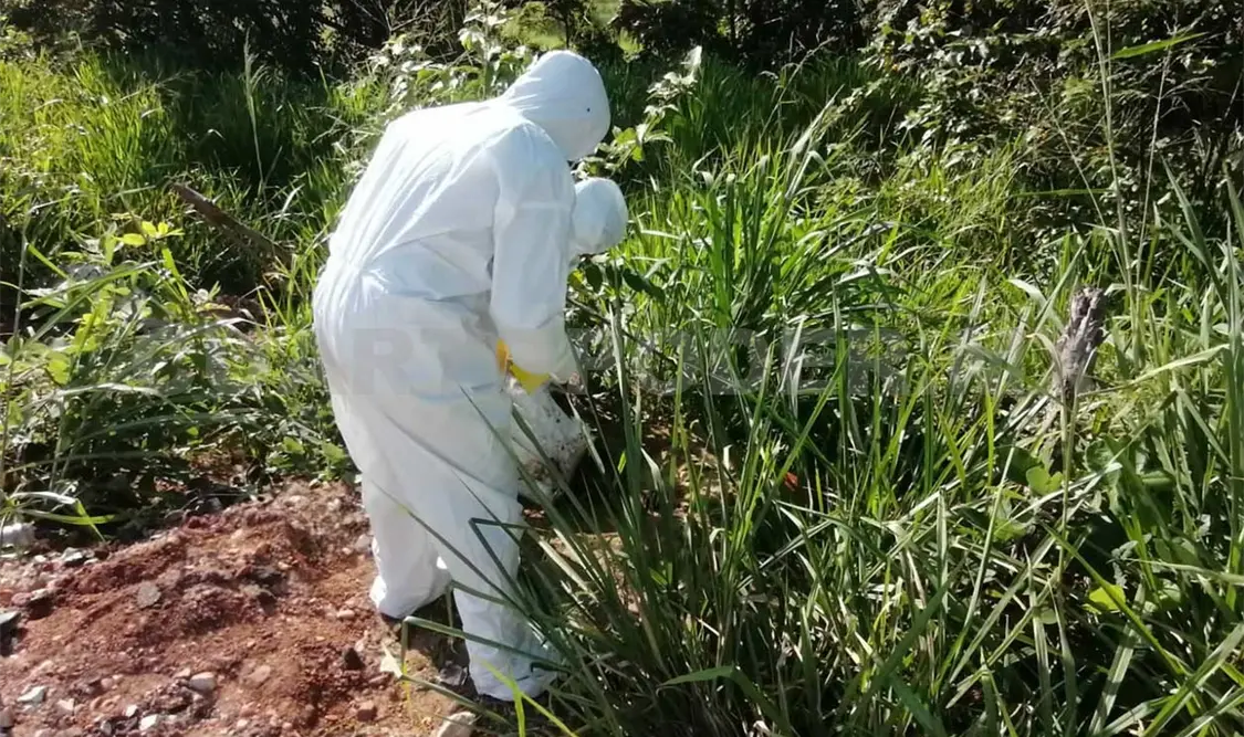 Reportan hallazgo de restos humanos