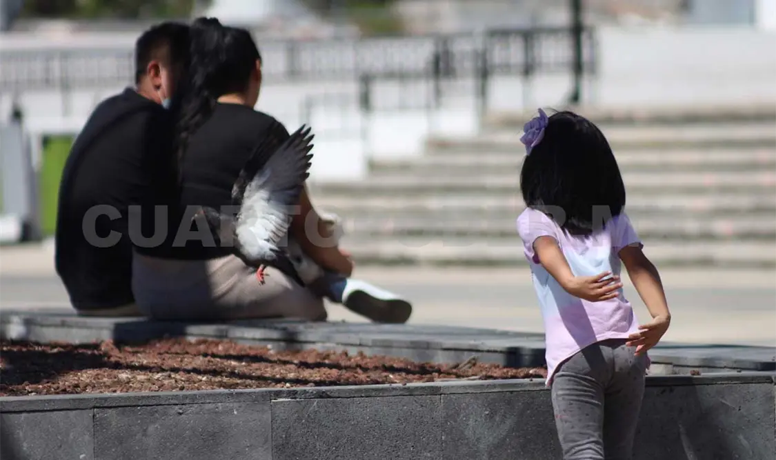Maltrato infantil está arraigado en la cultura