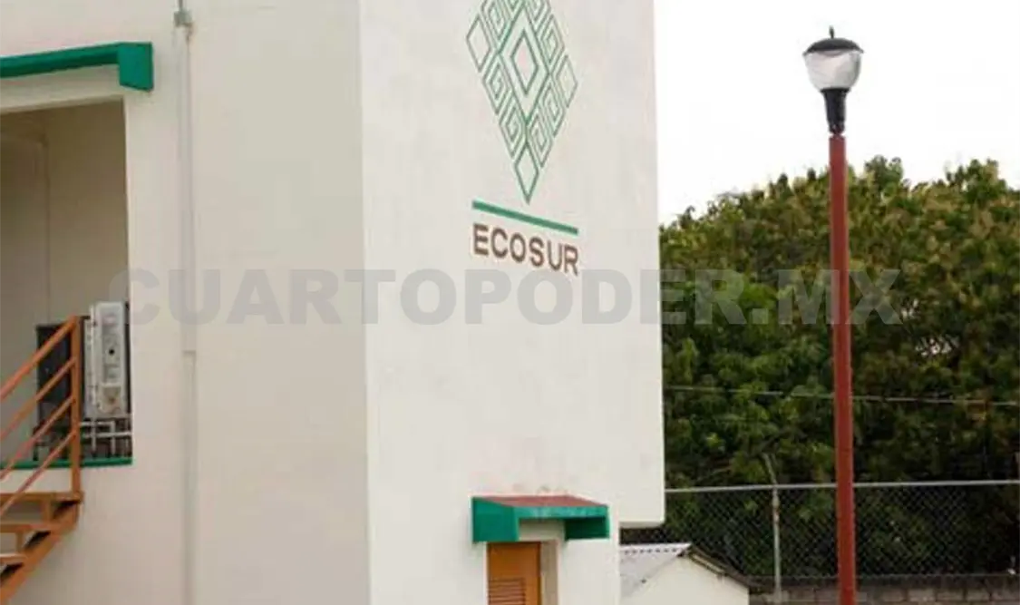 El Ecosur apoya la iniciativa desde sus plataformas digitales. Cortesía