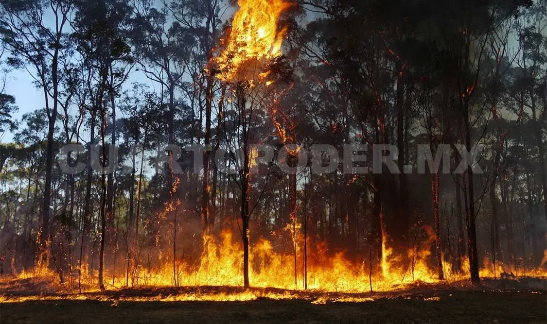 Chiapas entre las zonas con más incendios