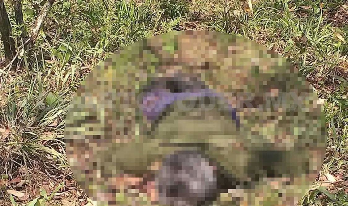 Encuentran cuerpo entre matorrales