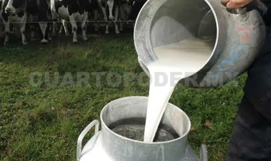 El costo del litro de leche subió de ocho a 11 pesos. Noel Vázquez / CP