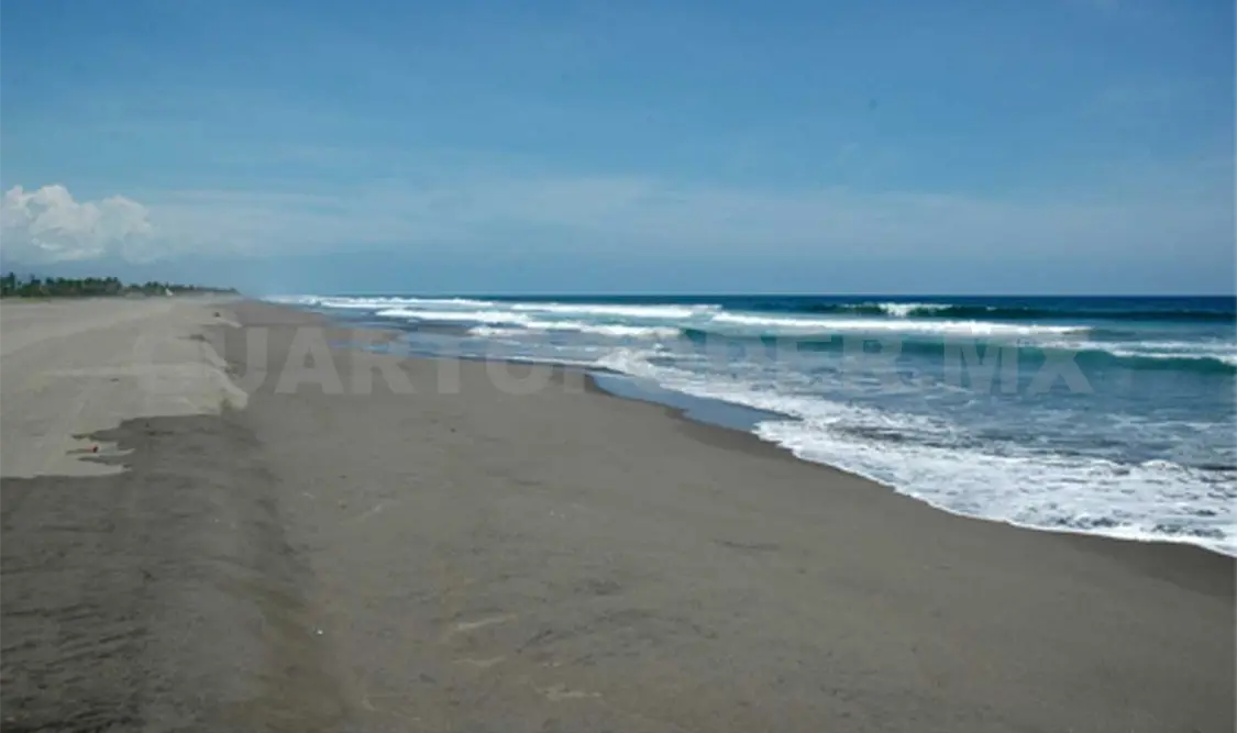 Realizarán limpieza en playas de Tonalá