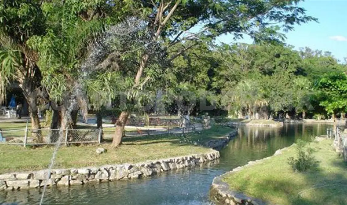 Piden cuidar ojo de agua y peces de Joyyo Mayu