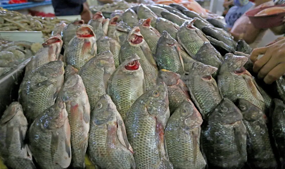 Pescados y mariscos subirán de precio