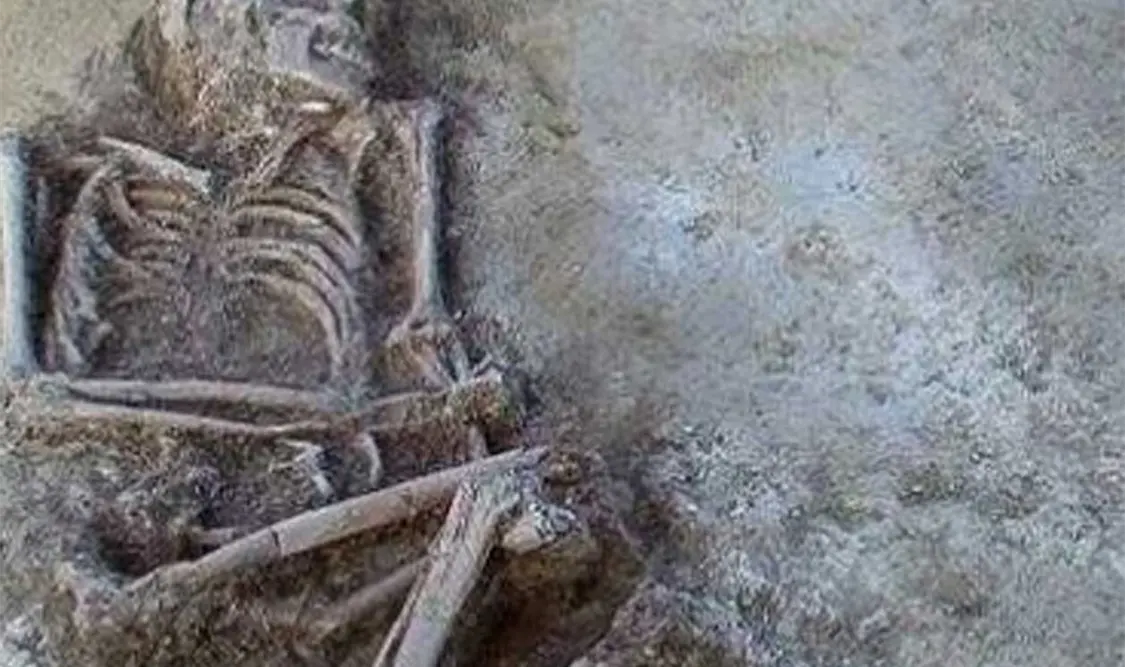 El hallazgo se registró mientras construían una carretera. Cortesía