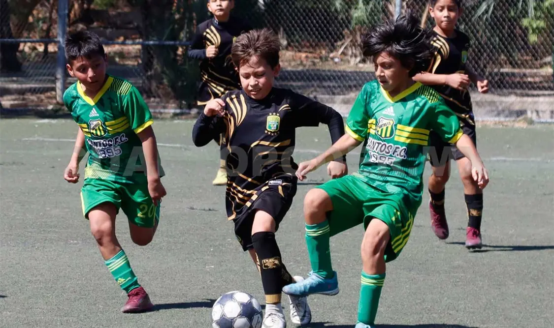 Santos FC avanza a la antesala del título