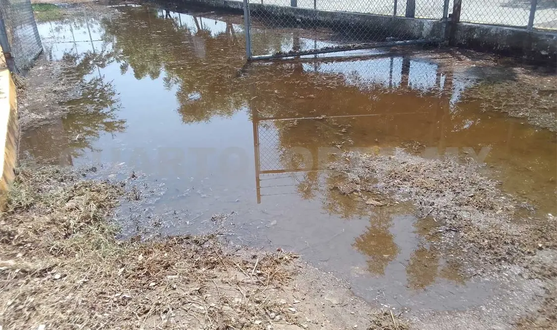 Intensas lluvias dejan encharcamientos en Tonalá