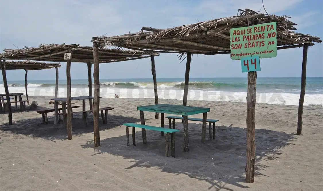 Autoridades de la Profepa determinarán qué fue lo que sucedió realmente. Víctor Sánchez / CP