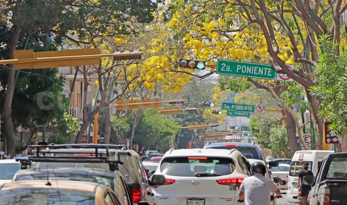 Floración en primavera decorará calles de colores