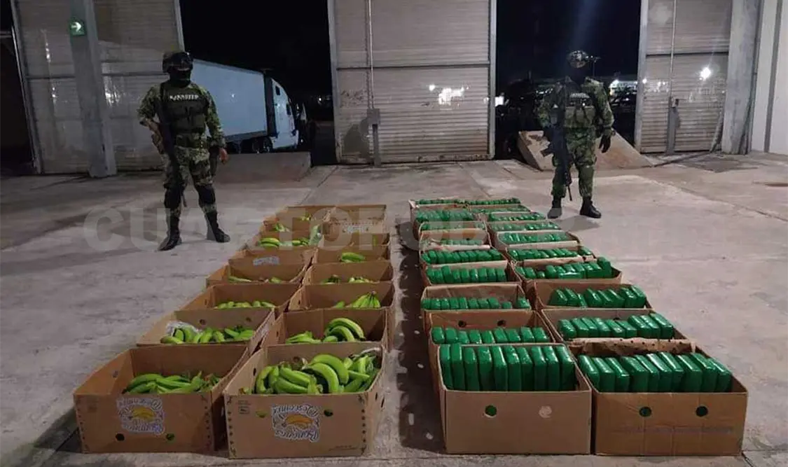 Ejército Mexicano informa sobre acciones en febrero