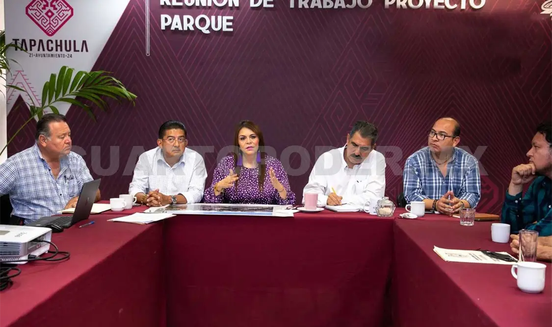 Especialistas respaldan el proyecto del parque central
