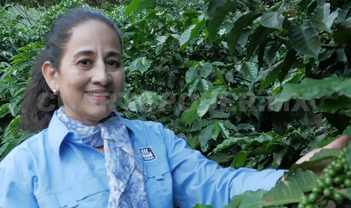 Mujer rompe paradigmas mediante el cultivo de café