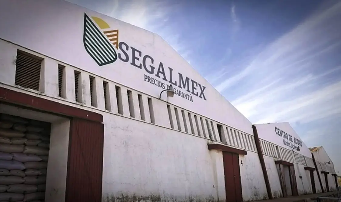 Al momento suman ocho detenidos, luego de que la semana pasada se girará una orden de captura contra 22 implicados. El Universal