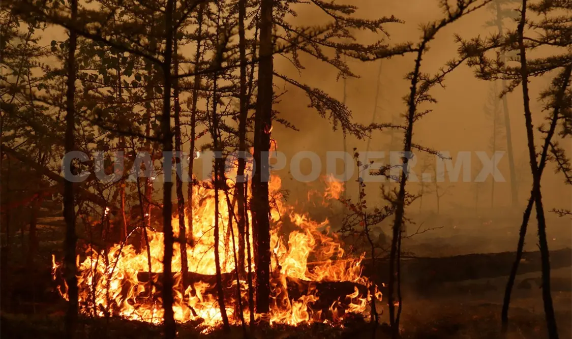 De casi 1500 ha el daño provocado por incendios