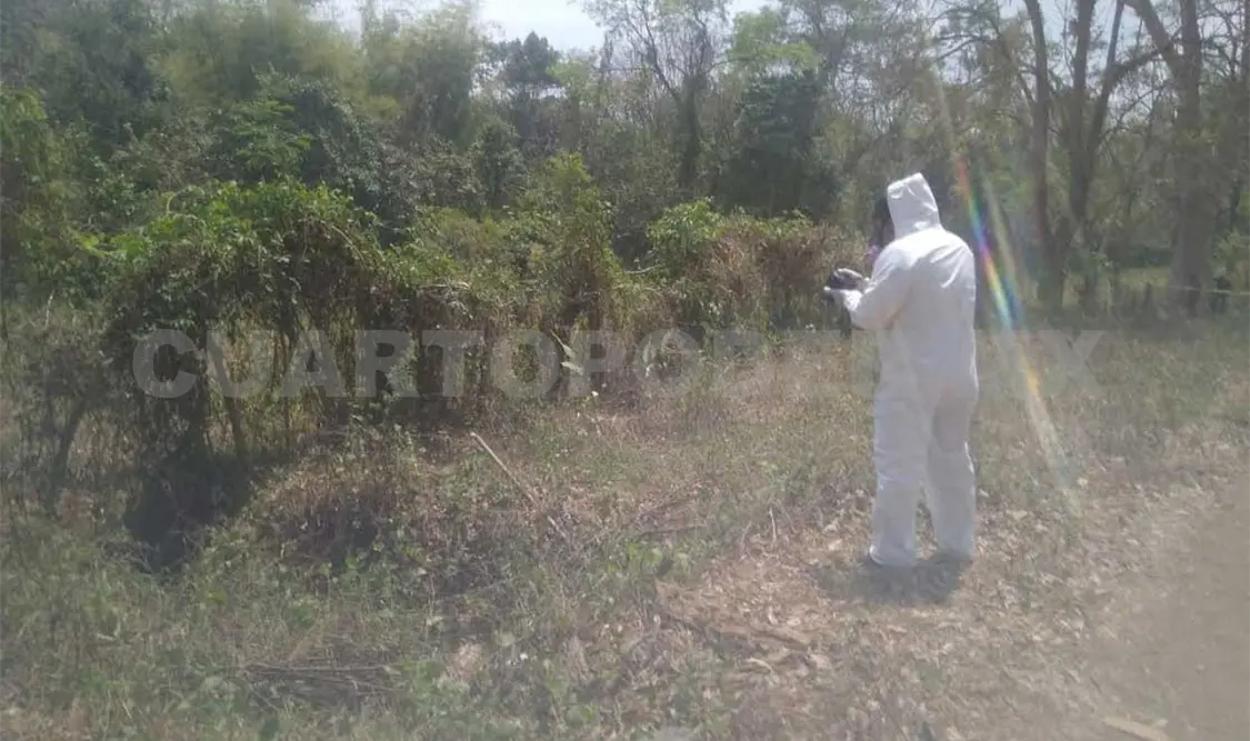Matan a golpes a mujer y la arrojan entre la maleza