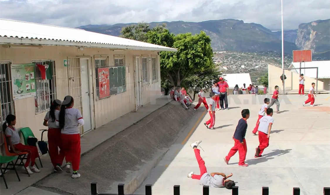 Reducción de actividad física afecta el desarrollo de NNA