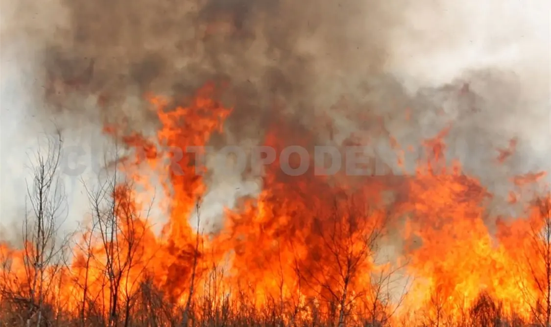 Suman hasta 26 carpetas de investigación por incendios