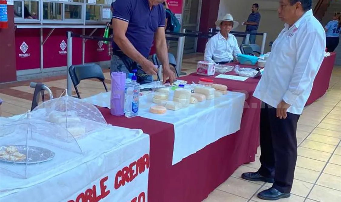 Elaboran y comercializan quesos vegetarianos