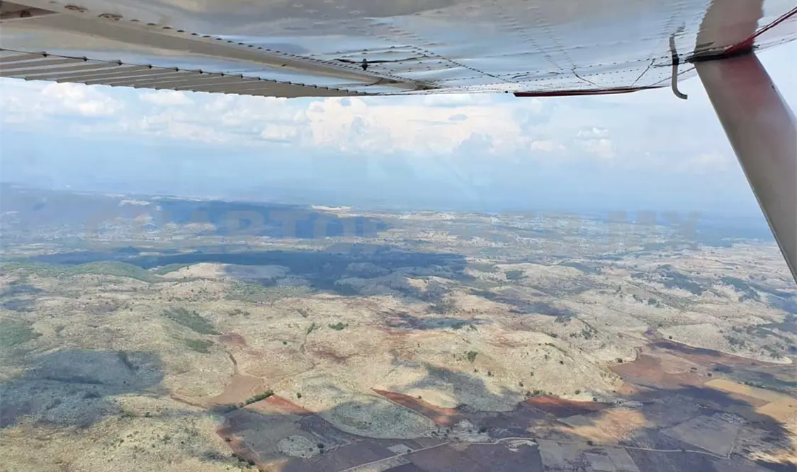 Bombardeo de semillas, opción para reforestar