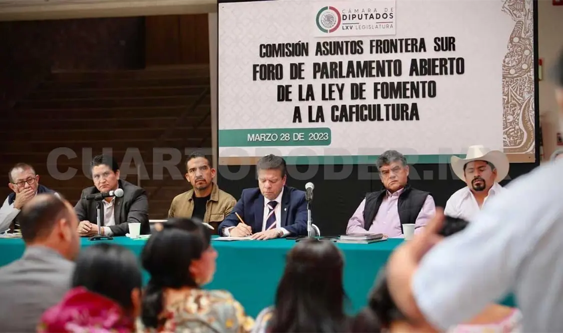 Buscan impactar en 500 mil familias a través del café