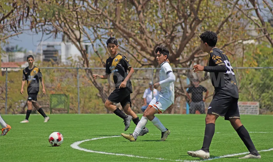 Lechuzas pierde el vuelo pero no la liguilla