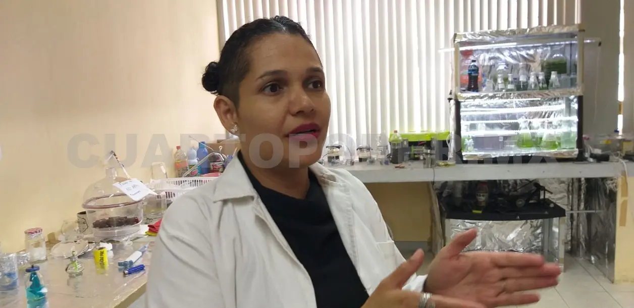 Realizan investigación sobre biocombustibles
