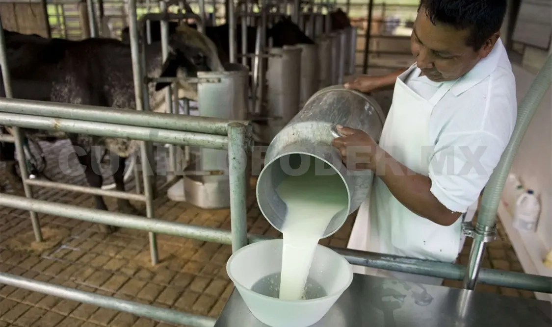 Por crisis aumenta precio del litro de leche