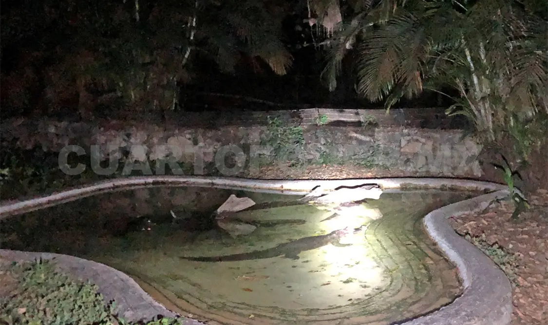 Una noche en medio de la naturaleza