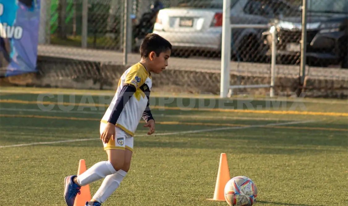 Conejos Dorados regresa recargado