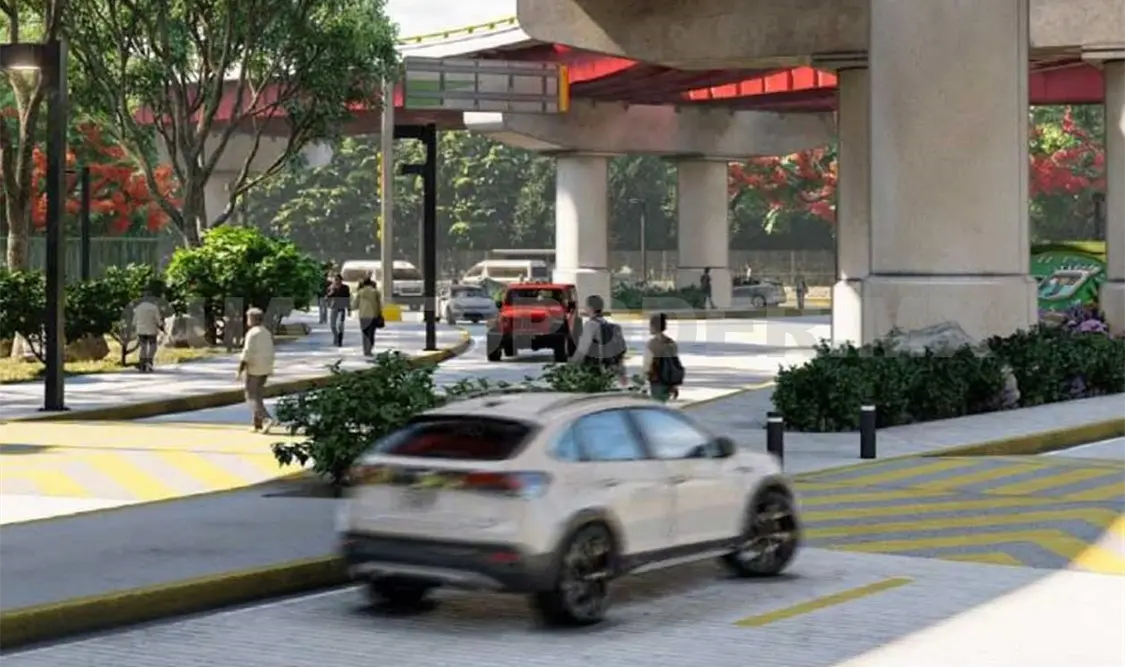 La dependencia estatal indicará el lugar y dará seguimiento al trasplante de los ejemplares del Circuito Interior. CP